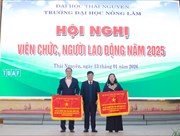 Viện Công nghệ Sinh học – Công nghệ Thực phẩm được trao Cờ thi đua và Bằng khen cấp Bộ Giáo dục và Đào tạo tại Hội nghị Viên chức, Người lao động năm 2025