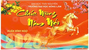 Gặp mặt đầu xuân Bính Ngọ 2026: khí thế mới – quyết tâm mới